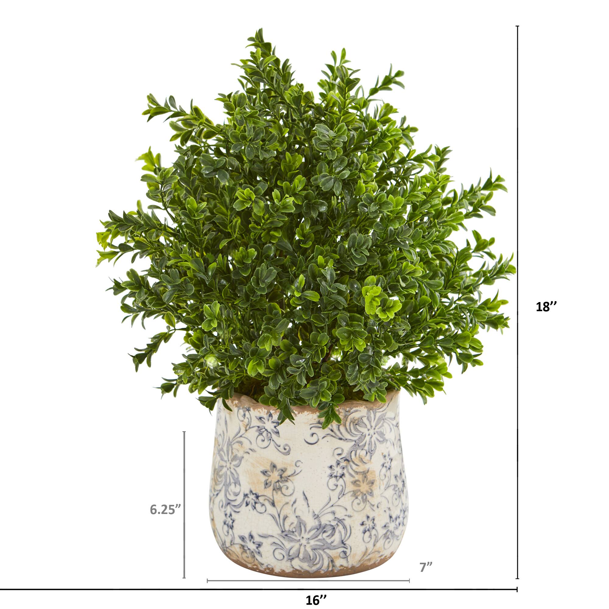 18" Sweet Grass Plant in Floral Vase